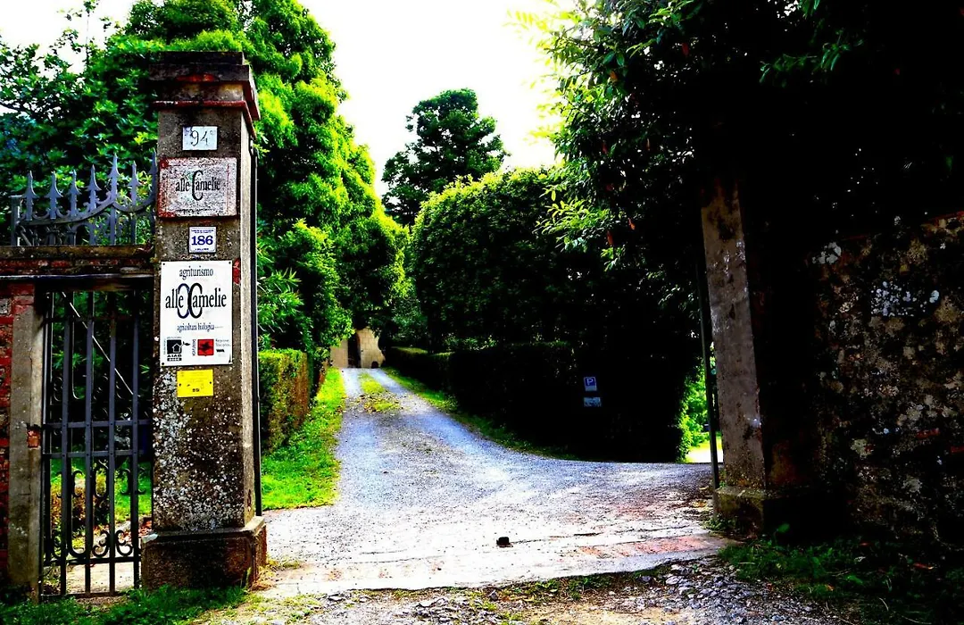 Agriturismo Alle Camelie-1
